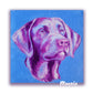 Lavender Labrador - Giclée Art Print